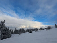 Зимна приказка; Няма коментари