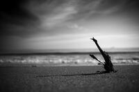 no name ( ID=2576977 ); comments:5