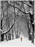 без име ( ID=2576982 ); Коментари:5