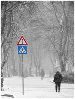 без име ( ID=2576983 ); Коментари:5