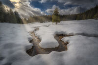 Зима в Родопите; Няма коментари