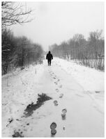 без име ( ID=2577002 ); Коментари:2