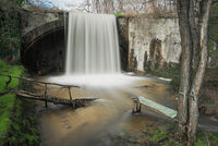 без име ( ID=2577038 ); Коментари:2