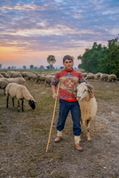 Приятели....; Коментари:5