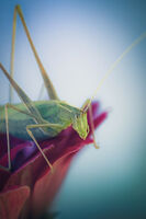 no name ( ID=2577045 ); comments:2