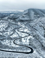 no name ( ID=2577052 ); No comments