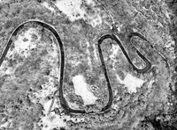 без име ( ID=2577059 ); Коментари:2