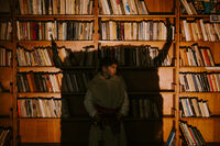 В сянка на традициите; Няма коментари