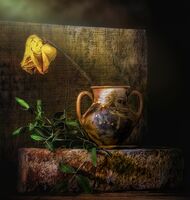 без име ( ID=2577101 ); Коментари:23