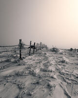 без име ( ID=2577110 ); Коментари:2