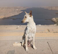 no name ( ID=2577134 ); No comments