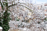 Зимен ден; Коментари:3