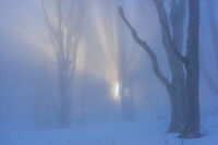 Зазоряване; Коментари:1