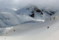 без име ( ID=2577204 ); Коментари:4