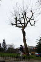 Разминаване; Коментари:2