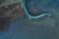 *; Коментари:6