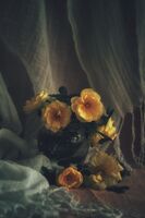 без име ( ID=2577236 ); Коментари:1