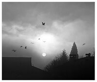 без име ( ID=2577269 ); Коментари:9