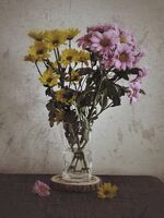 без име ( ID=2577309 ); Коментари:1