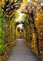 без име ( ID=2577337 ); Коментари:2