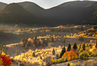 Отново там край Гела; Коментари:4