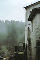 Тиха сутрин в Родопите; comments:1