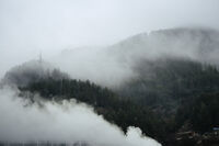 Мъгли над Смолян; Няма коментари