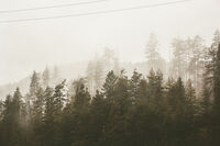 Спокойствие; Коментари:2