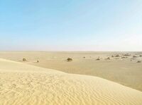 без име ( ID=2577378 ); Коментари:2