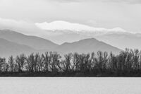 Слоеве; Коментари:4