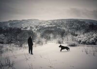 Приятели; Коментари:1