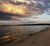 без име ( ID=2577446 ); Коментари:1