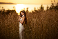 Н2; Няма коментари