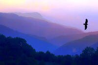 След дъжда...; Коментари:2