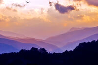 След дъжда 2; comments:2