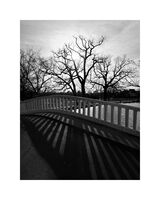 Силуети; Коментари:3