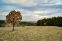 без име ( ID=2577480 ); Няма коментари