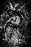 без име ( ID=2577482 ); Коментари:3