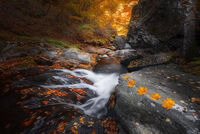 без име ( ID=2577487 ); Коментари:3