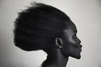 African Queen; Няма коментари