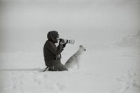 no name ( ID=2577504 ); comments:3