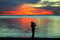 no name ( ID=2577512 ); No comments