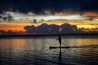 no name ( ID=2577513 ); comments:1