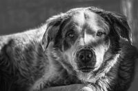 Погледът може да ''говори''; No comments