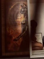 no name ( ID=2577524 ); comments:3