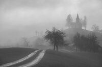 Misty Hill Path; Коментари:3