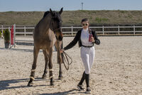 Тодоров ден; Коментари:2