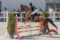 Тодоров ден; Няма коментари