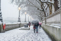 ***; Коментари:3