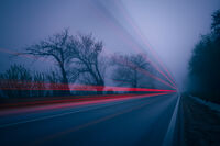 без име ( ID=2577546 ); Коментари:2